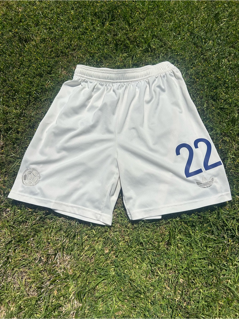 Colombia 24 Anniversary Fan Version Shorts (Large) (#22)